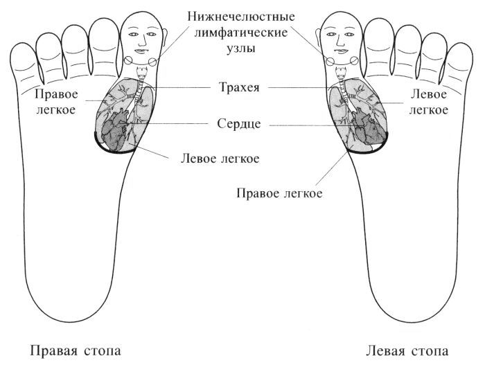 Сам Себе Су Джок Доктор Пак Чжэ Ву