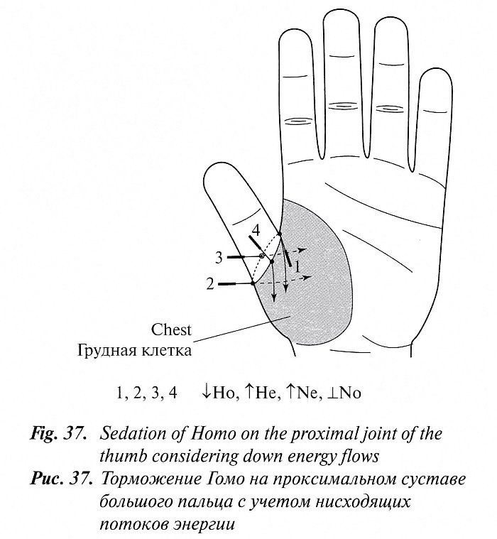 Journal_18_March07_pic37